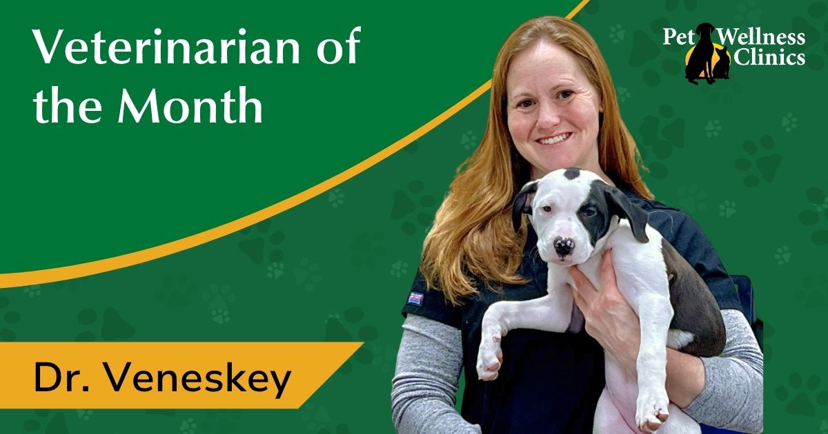 Dr. Kelley Veneskey ~ September’s Vet of the Month