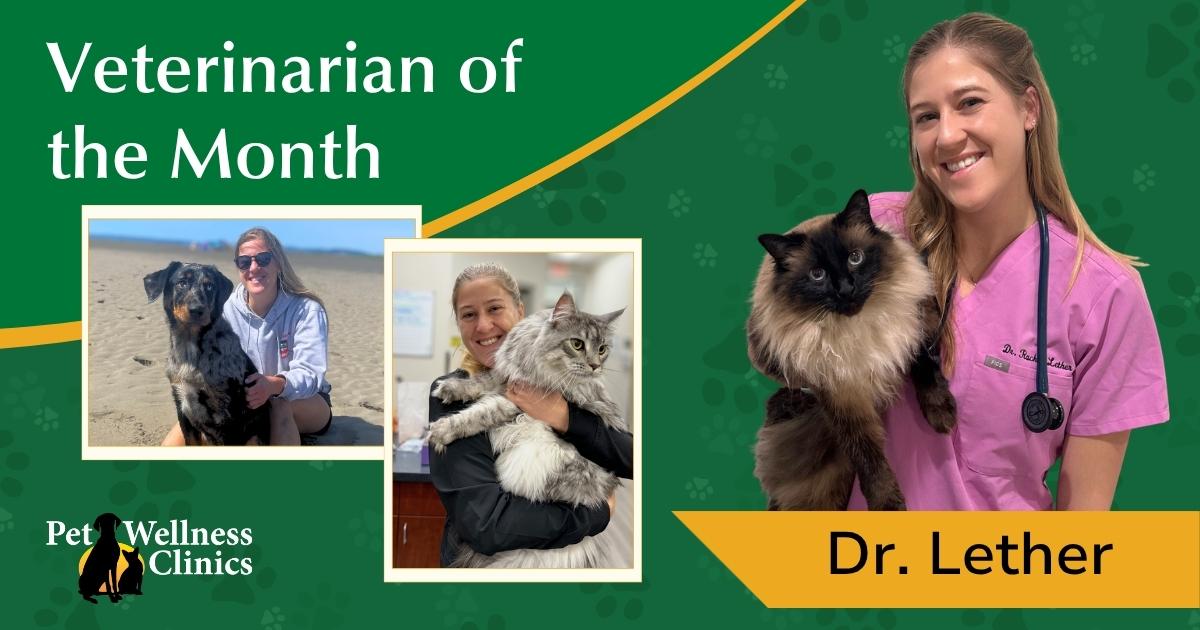 Dr. Rachel Lether ~ October’s Vet of the Month