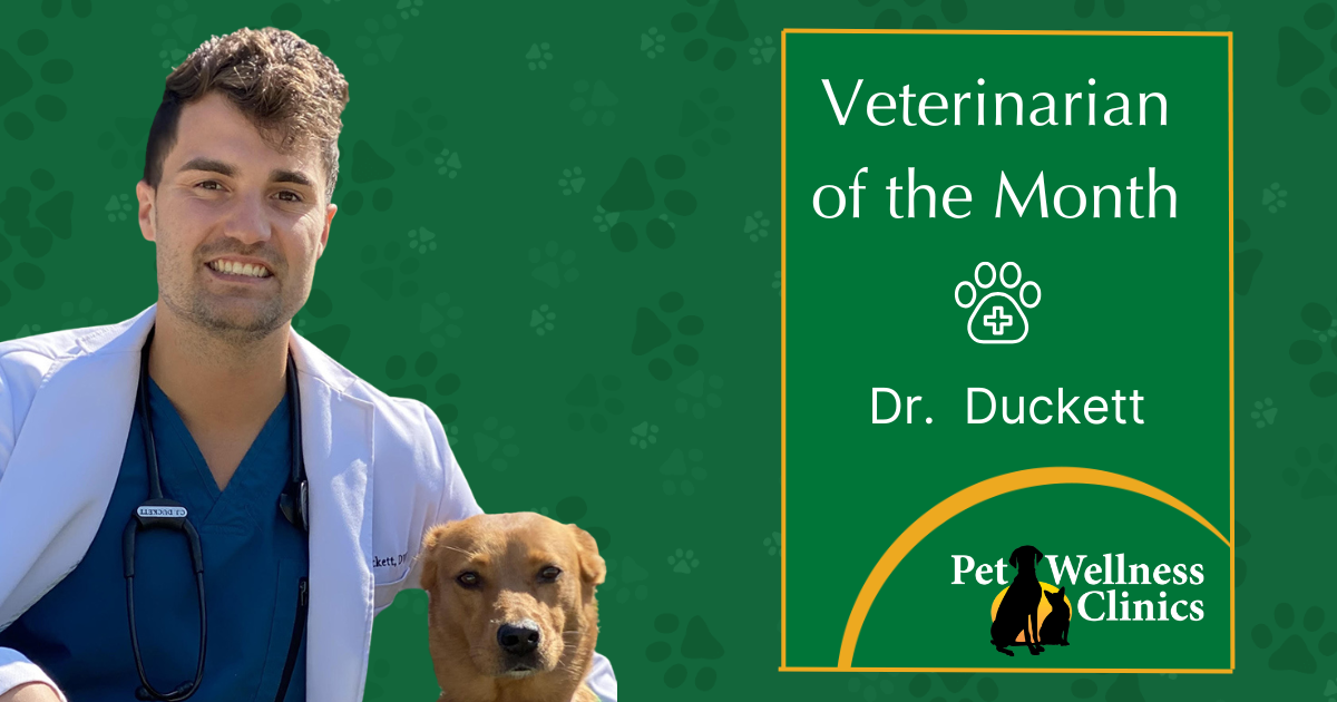 Dr. Duckett ~ Vet of the Month