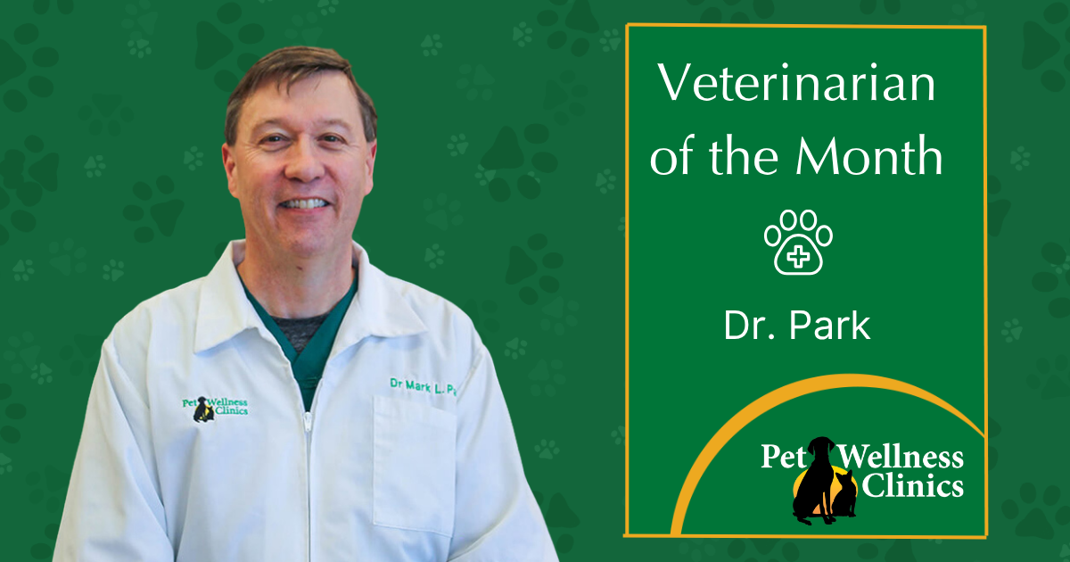 Dr. Park ~ Vet of the Month