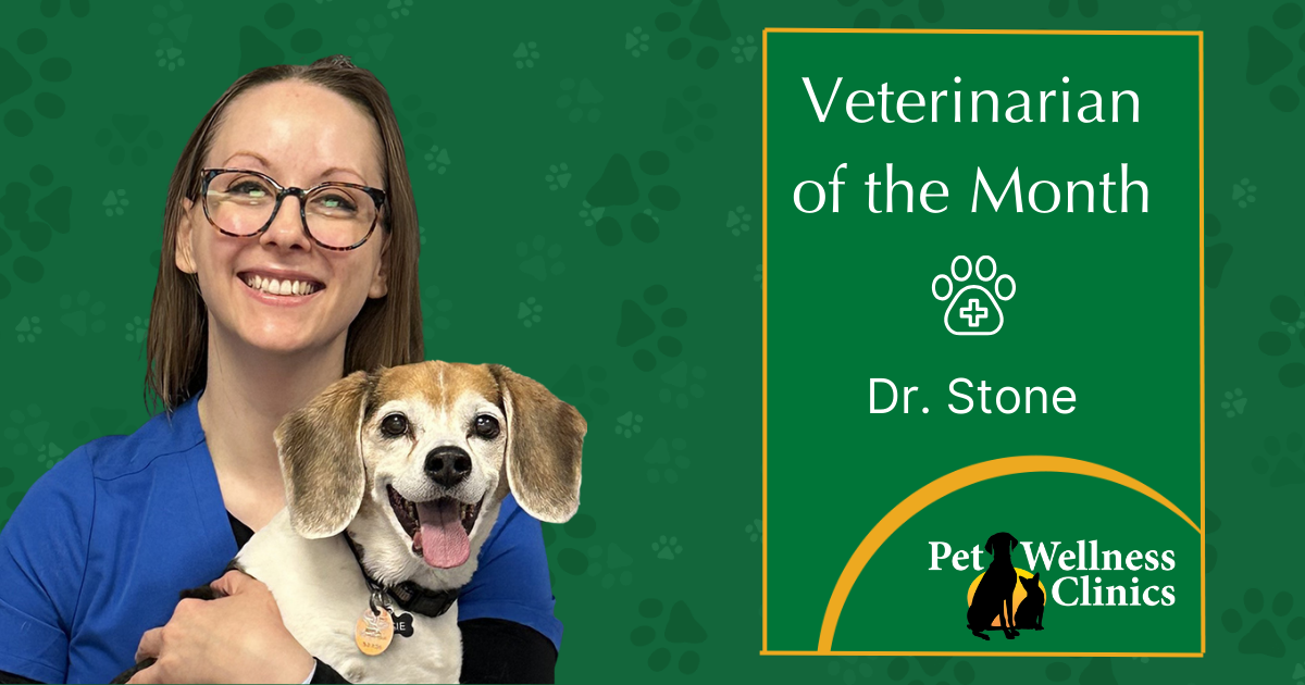Dr. Stone ~ Veterinarian of the Month