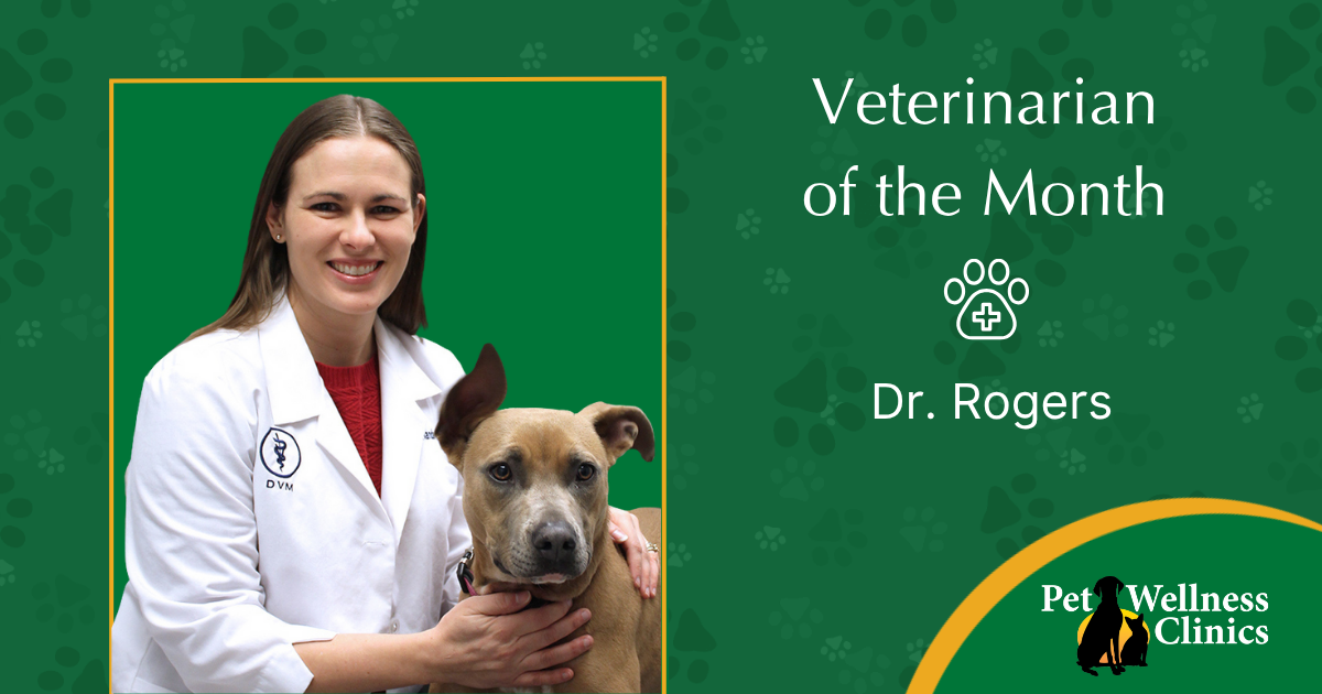 Dr Rogers ~ Veterinarian of the Month