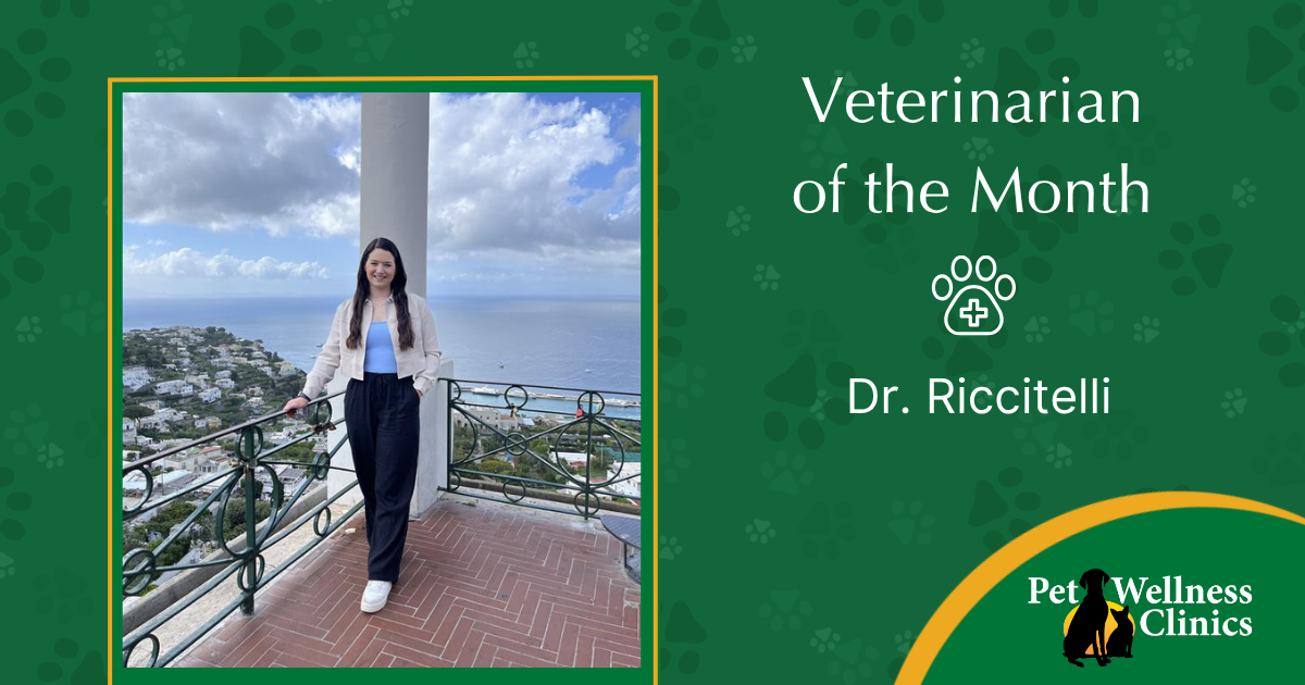 Dr. Riccitelli ~ Veterinarian of the Month
