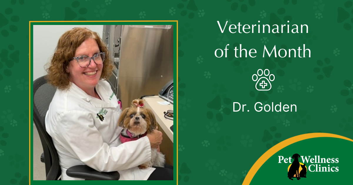 Dr. Golden ~ Vet of the Month