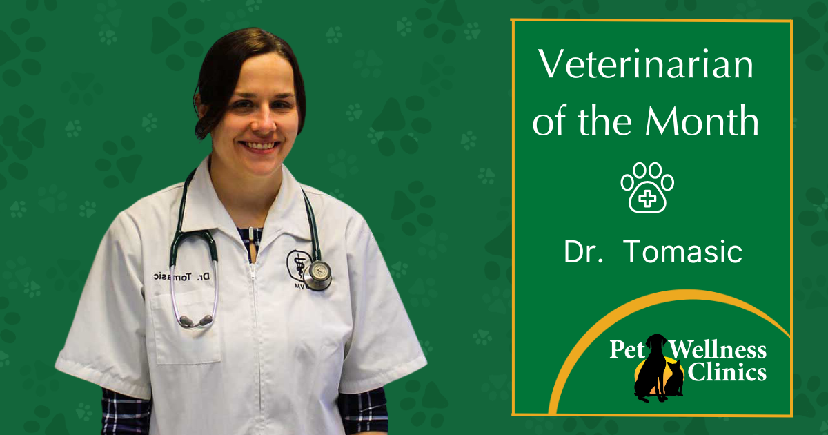 Dr. Tomasic ~ Veterinarian of the Month