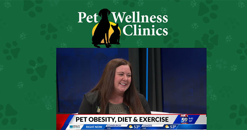 Preventing Pet Obesity