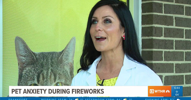 Keeping Pets Calm During Fireworks