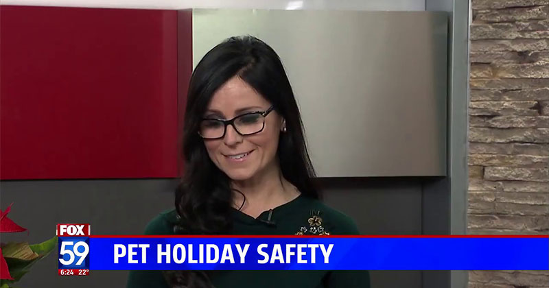 Pet Holiday Safety on Fox 59