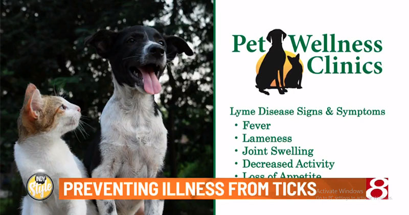 Pet Wellness Tip: Pets and Ticks