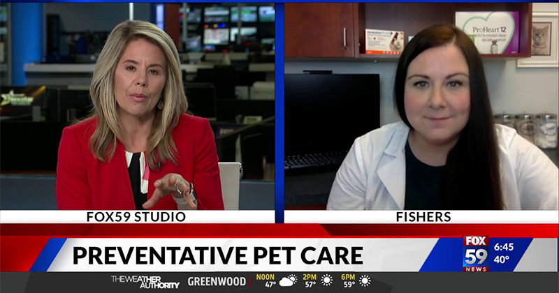 Preventive Pet Health Care