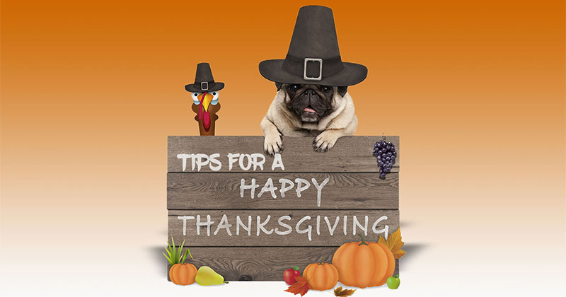 Do’s and Don’ts to Keep Your Pets Safe This Thanksgiving