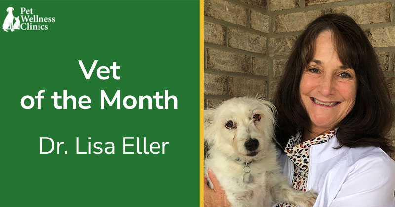 Vet of the Month, June 2022