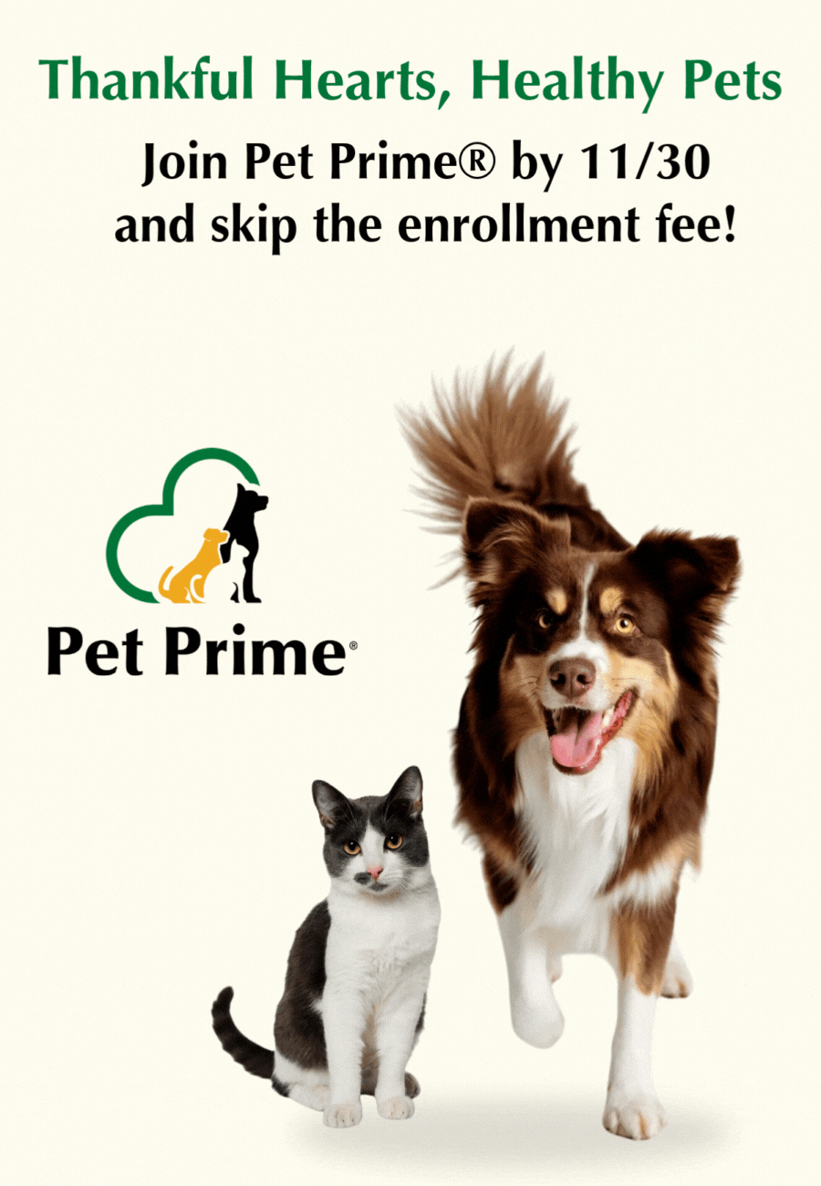 Pet Prime Wellness Plans - Promo!