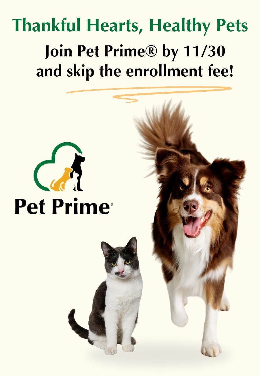 Pet Prime - Pet Wellness Plans