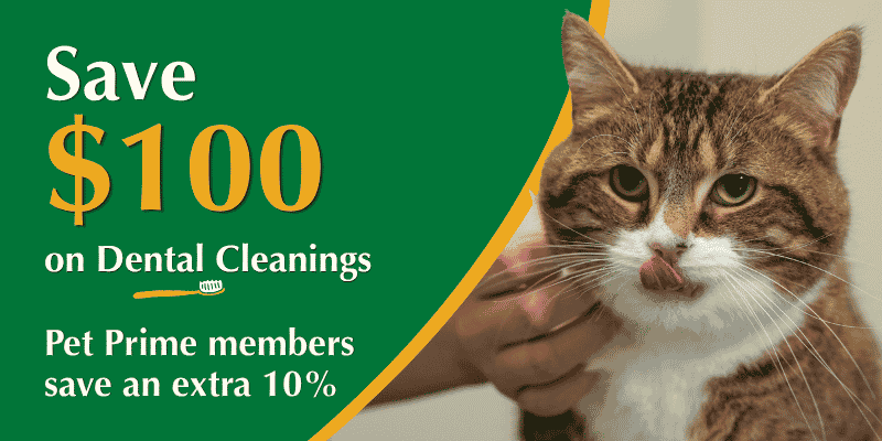 Special Savings