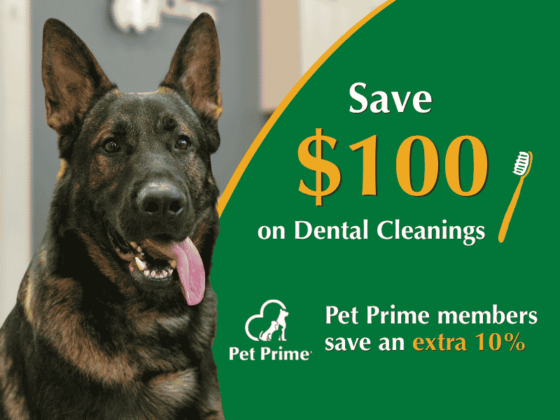Special Savings