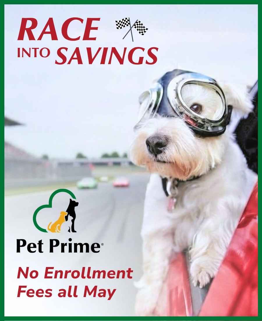 Pet Prime - Pet Wellness Plans