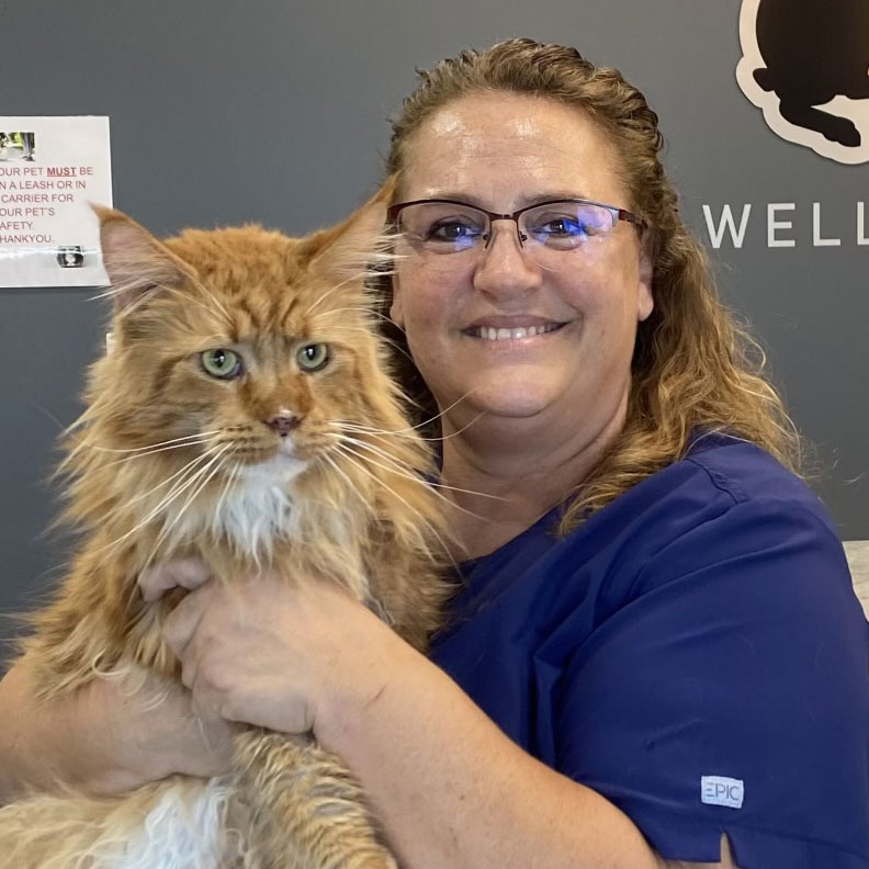 Ingalls Pet Wellness Clinic - Cat Vet