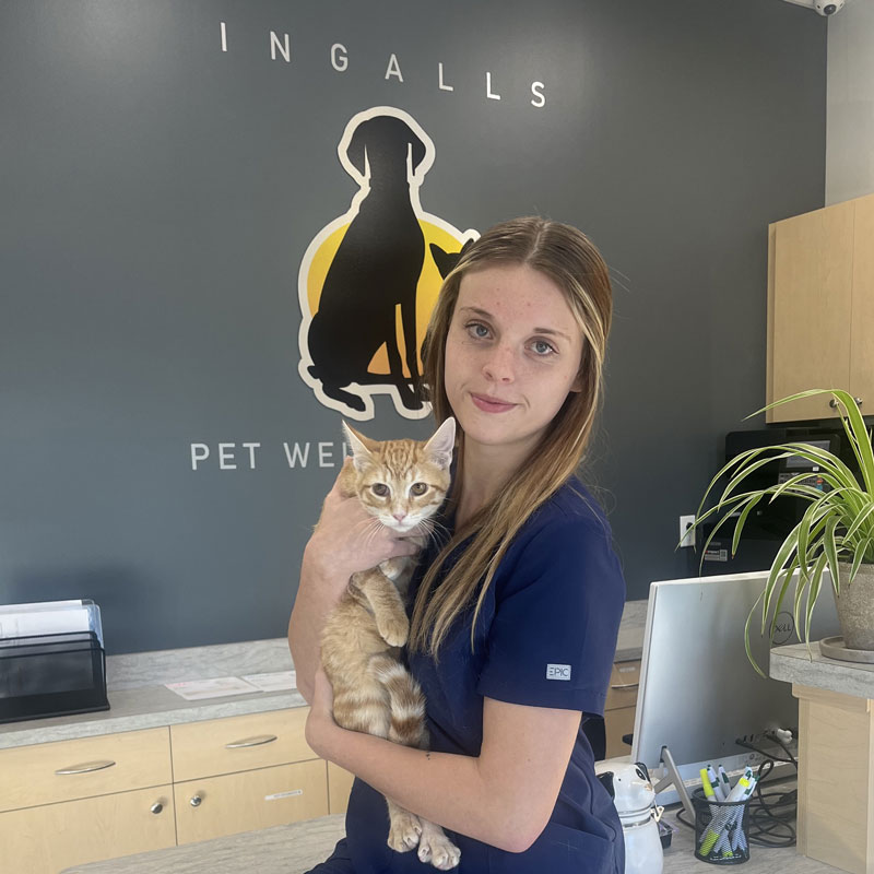 Ingalls Pet Wellness Clinic - Cat Vet