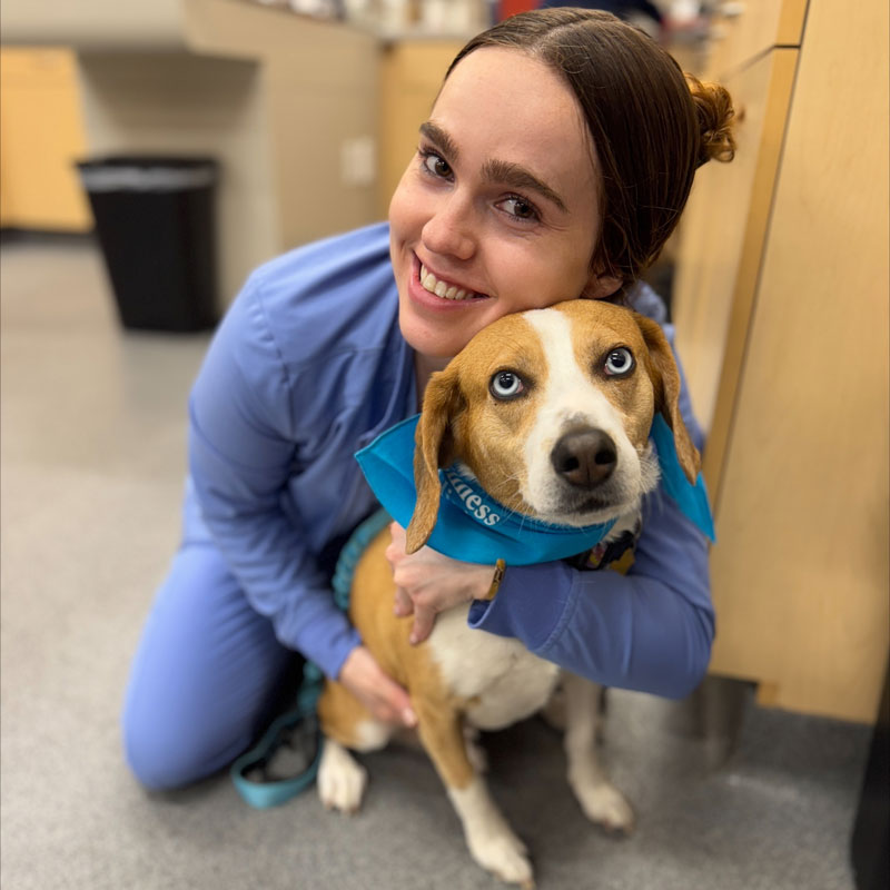 Ingalls Pet Wellness Clinic - Dog Care