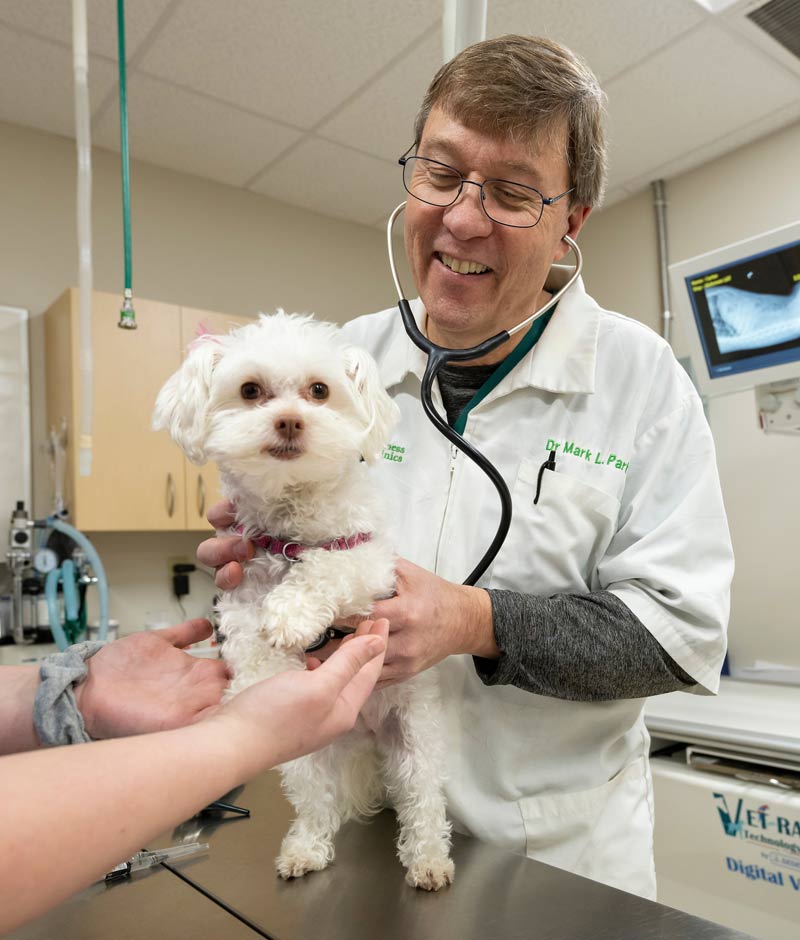 Noblesville Veterinarians