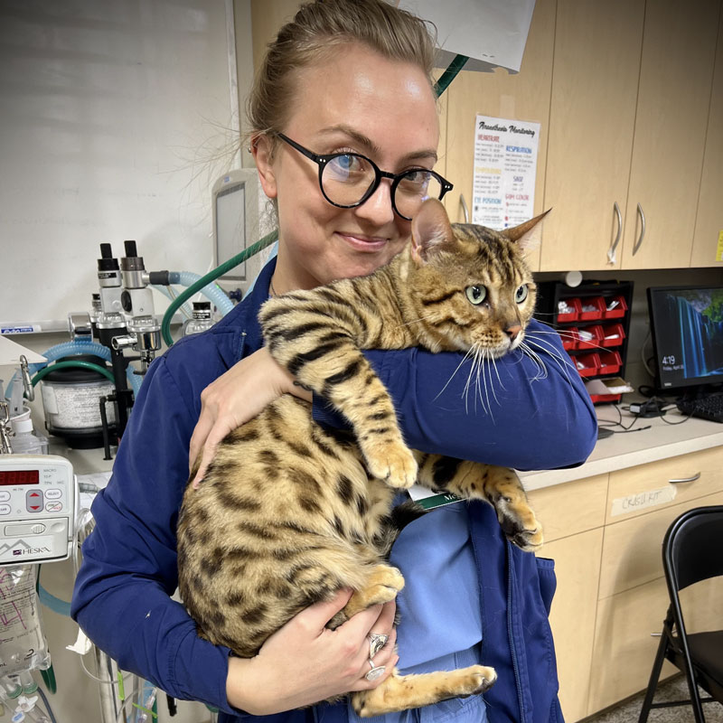 Noblesville Pet Wellness Clinic - Cat Vet