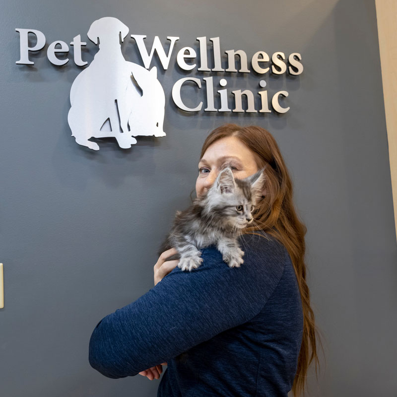 Noblesville Pet Wellness Clinic - Kitten Vet