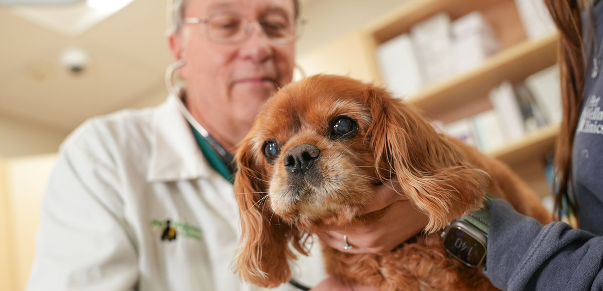 Noblesville Pet Wellness Clinic - Puppy Vet