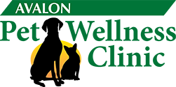 Avalon Pet Wellness Clinic