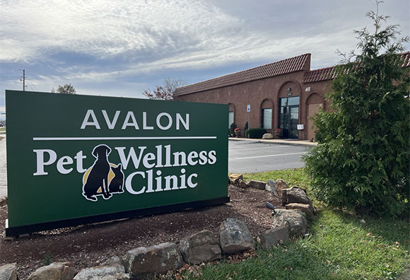 Avalon Pet Wellness Clinic