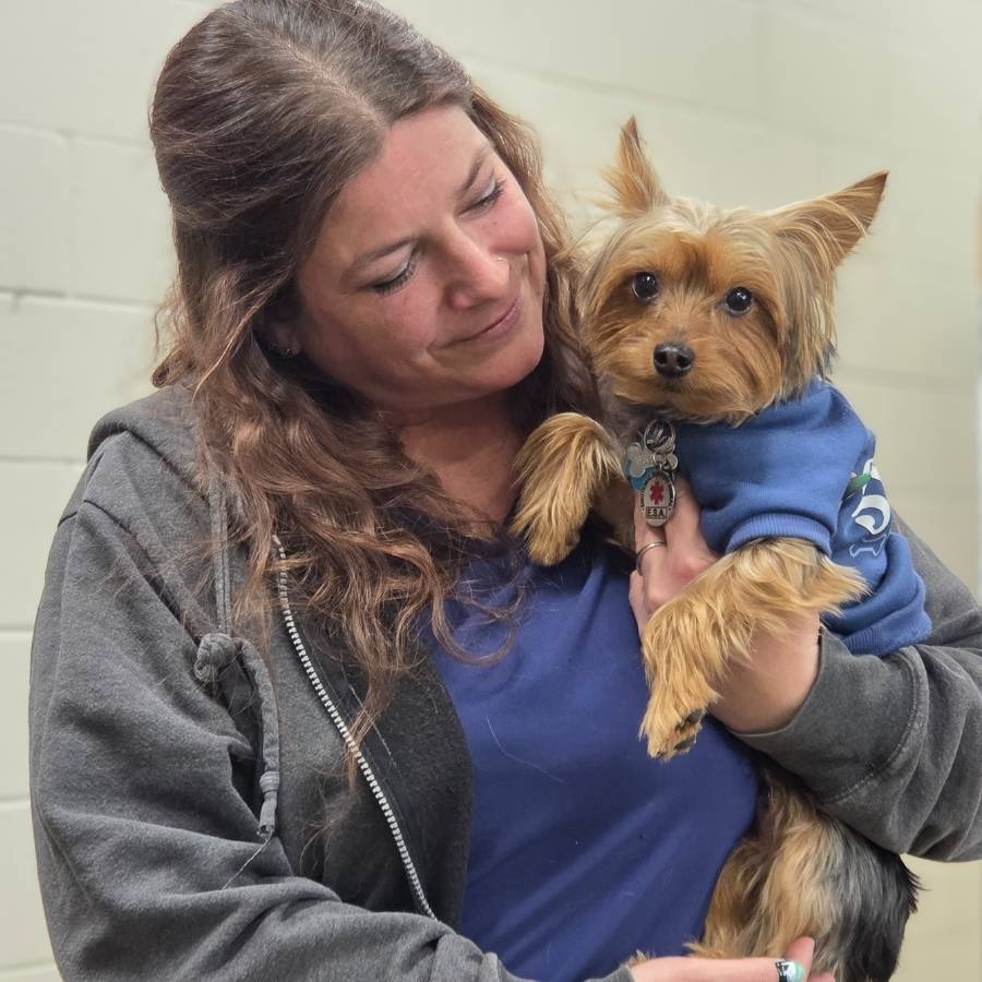 Avalon Pet Wellness Clinic - Dog Care