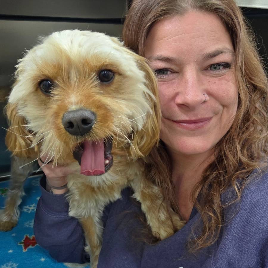 Avalon Pet Wellness Clinic - Dog Vet Care