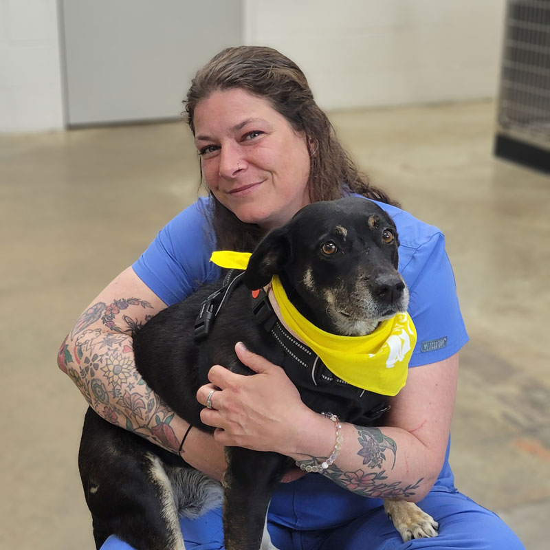 Avalon Pet Wellness Clinic - Team