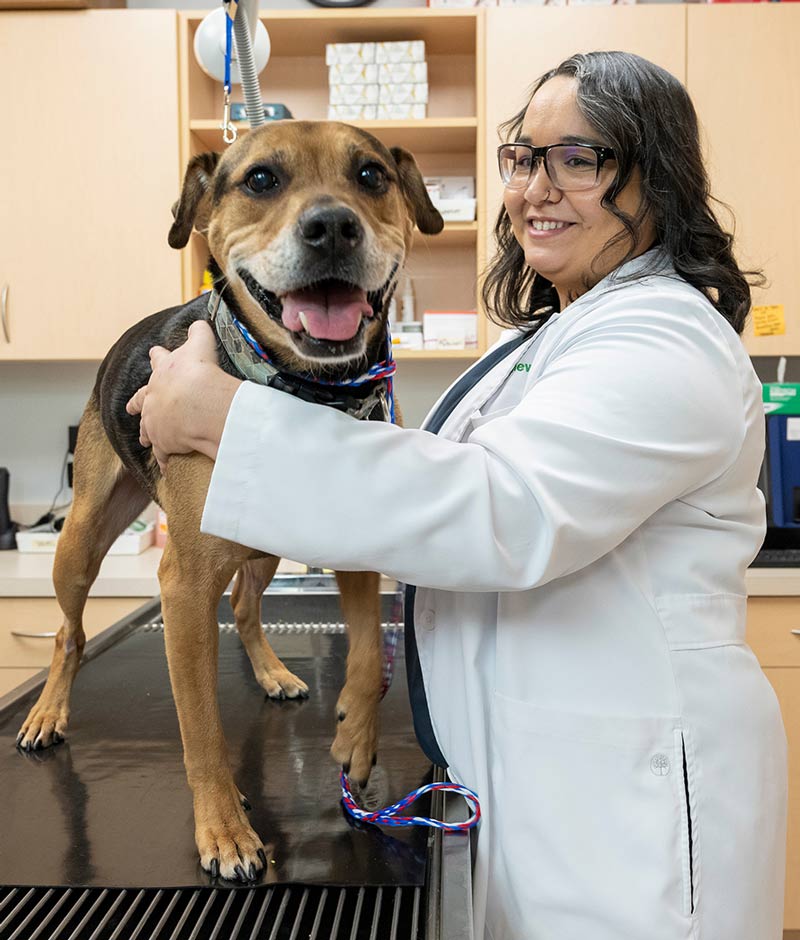 Zionsville Veterinarian