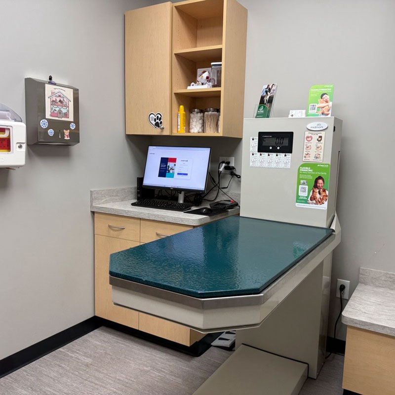 Avon Pet Wellness Clinic - Exam Room