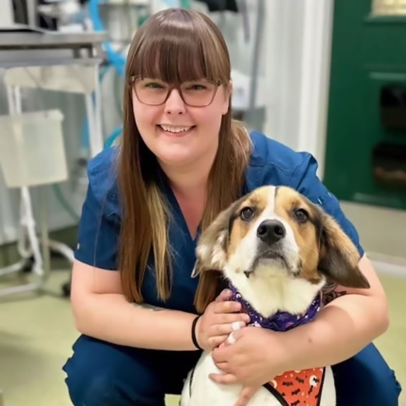 Avon Pet Wellness Clinic - Team