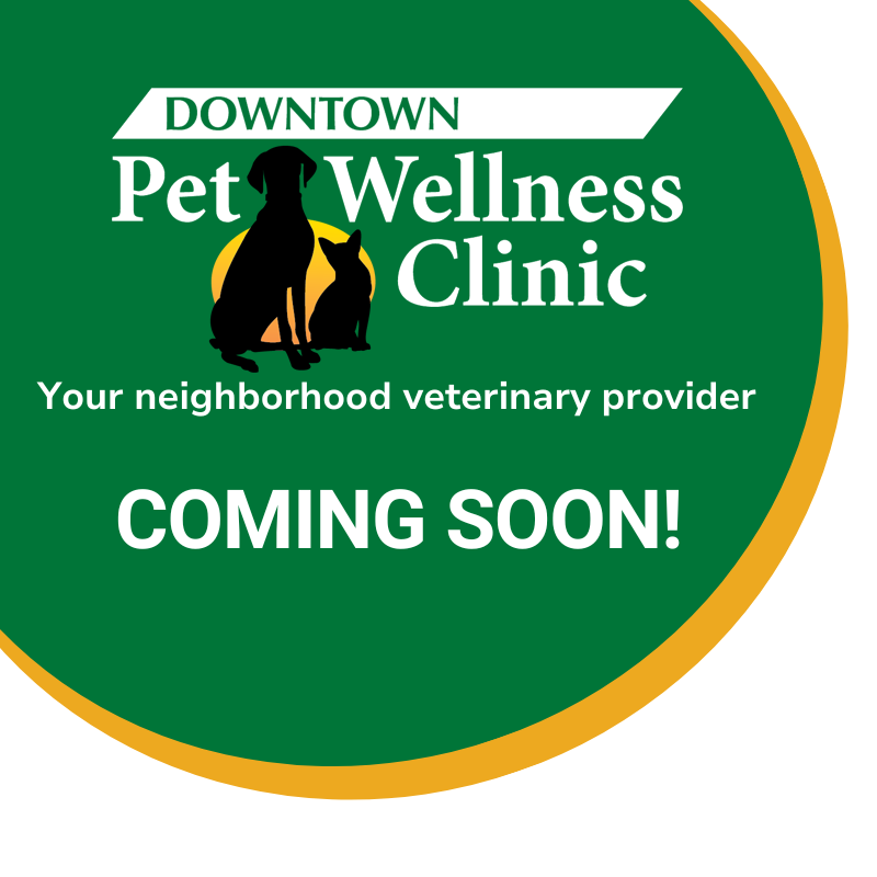 Avalon Veterinarian