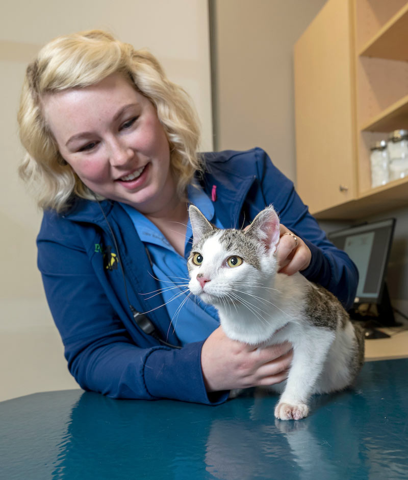 Binford Veterinarian