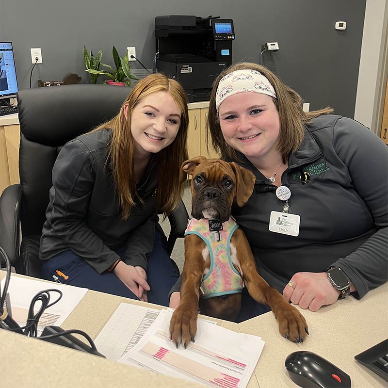 Binford Pet Wellness Clinic - Vet Team