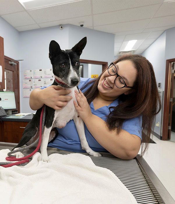 Bridgeview Pet Wellness Clinic