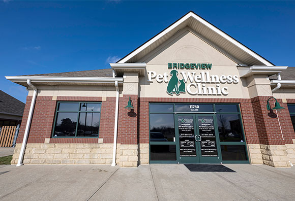 Bridgeview Pet Wellness Clinic