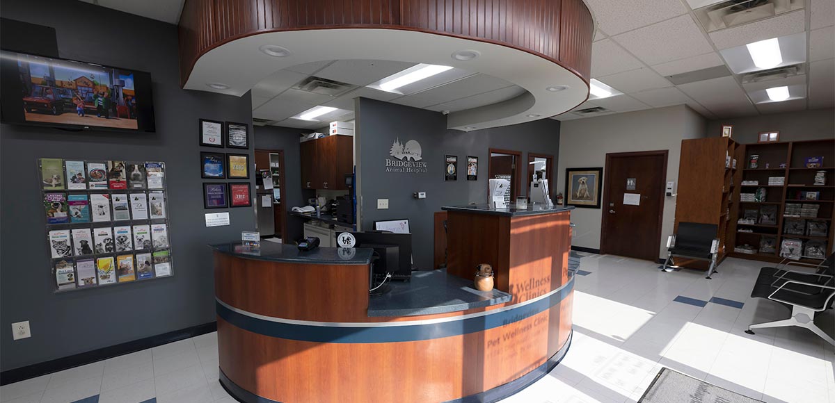 Bridgeview Pet Wellness Clinic - Lobby