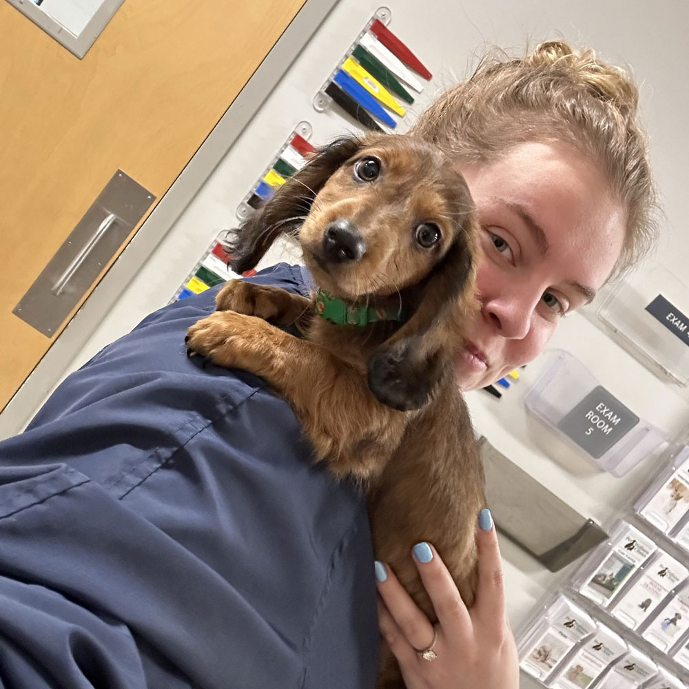 Bridgeview Pet Wellness Clinic - Puppy Care