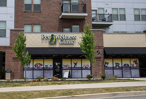 Broad Ripple Pet Wellness Clinic