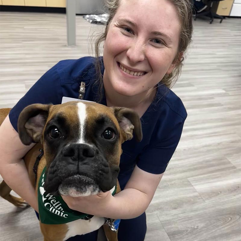 Brownsburg Pet Wellness Clinic - Dog Vet Services