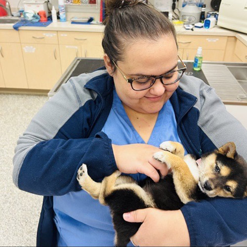 Brownsburg Pet Wellness Clinic - Puppy Care