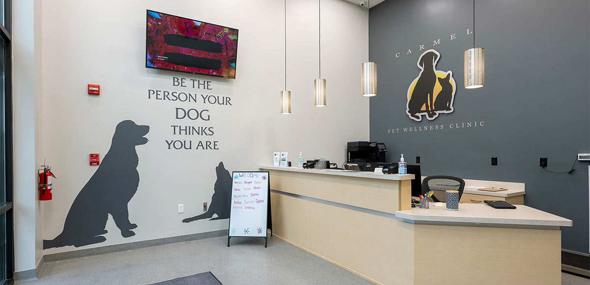 Carmel Pet Wellness Clinic - Lobby