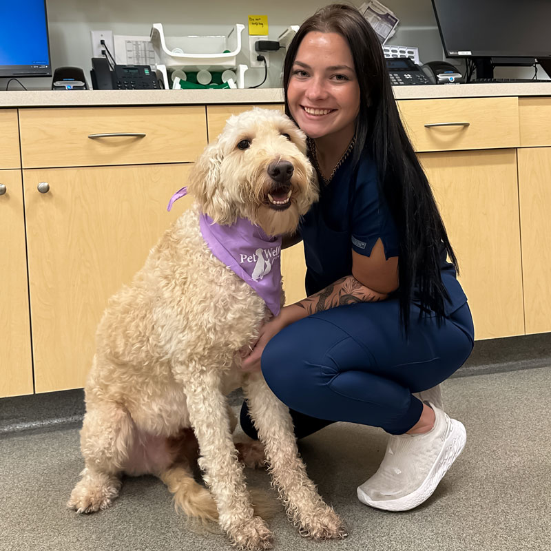 Carmel Pet Wellness Clinic - Dog Care