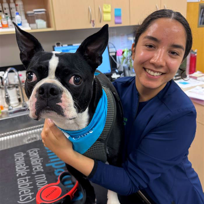 College Park Pet Wellness Clinic - Dog Vet